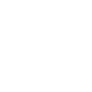 Damaged Dynasty Shop